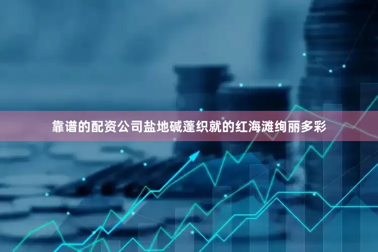 靠谱的配资公司盐地碱蓬织就的红海滩绚丽多彩