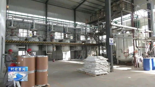 牢記囑托 乘勢而上 李哲調(diào)研城西機(jī)電化工產(chǎn)業(yè)集聚區(qū)，強(qiáng)調(diào)安全高效推動化工生產(chǎn)